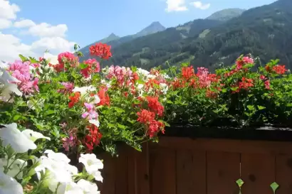 4_klampererhof-virgen-fewo-zunigblick-balkon.webp