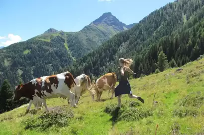 klampererhof-virgen-alm.webp