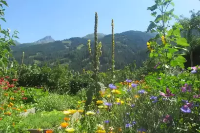 3_klampererhof-virgen-kraeutergarten.webp