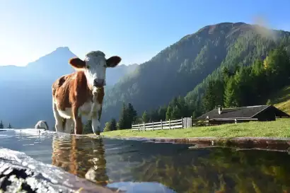 klampererhof-virgen-alm_2.webp