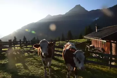 klampererhof-virgen-alm_1.webp