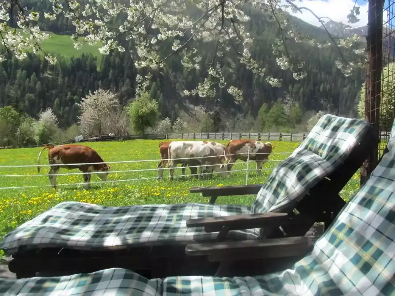 5 Stück selbstgemachte Seifen mit Deko